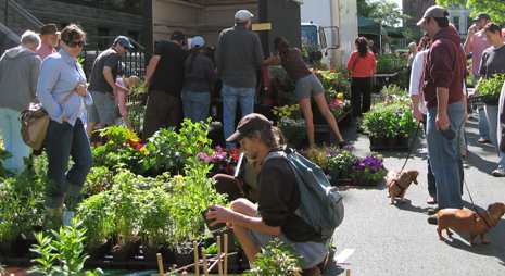 files/content/blog/farmersmarket.jpg