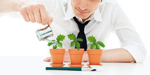 files/news/watering.jpg