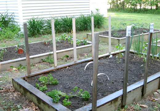 Stevens 470 Garden