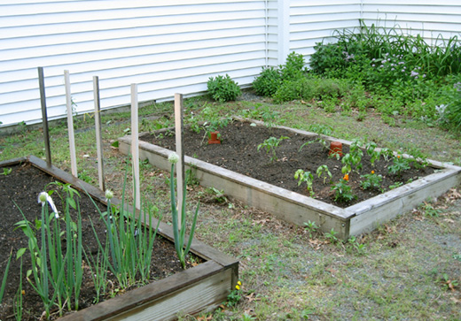 Stevens 470 Garden